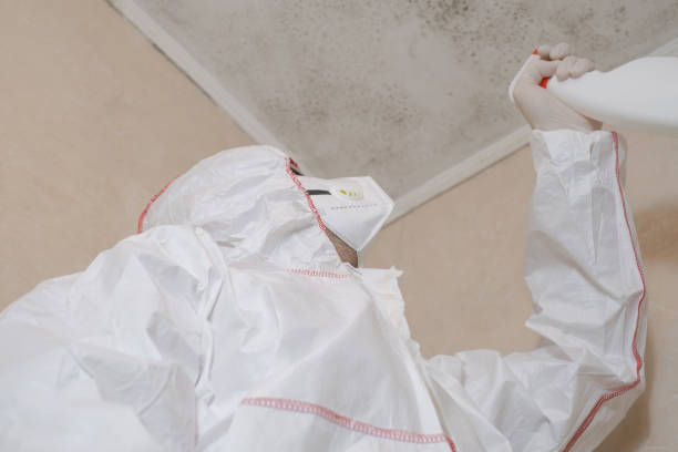 Best Industrial Mold Remediation  in USA